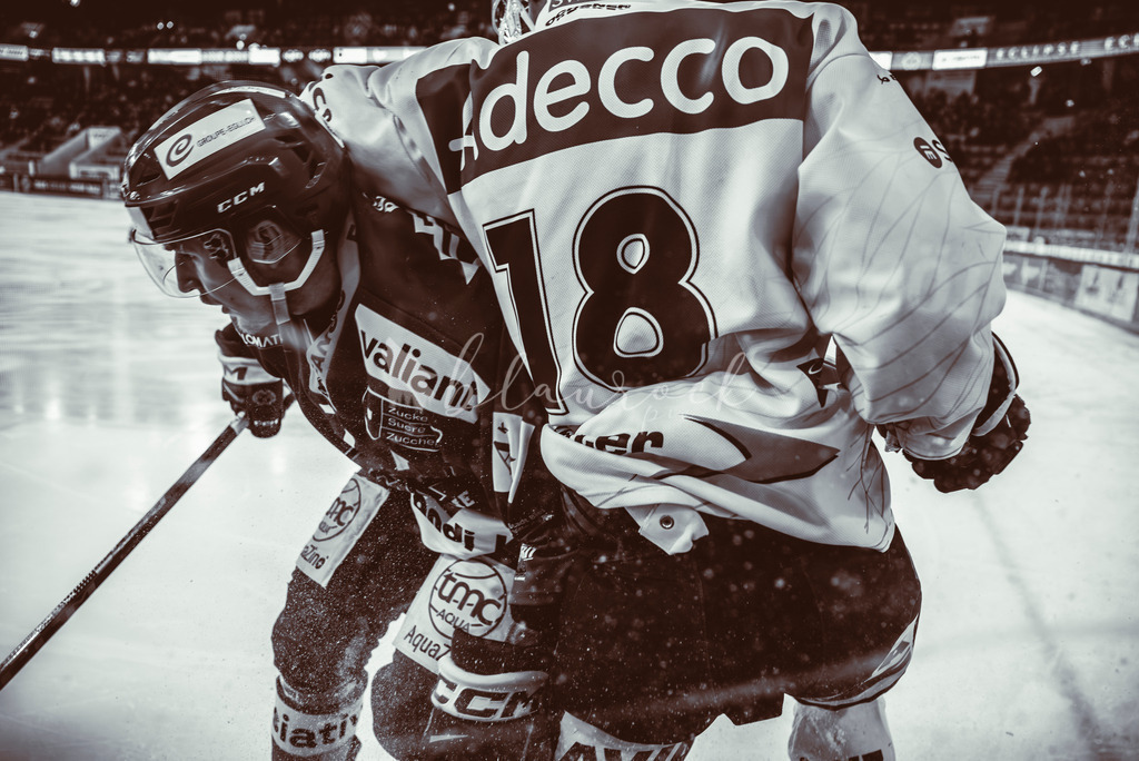 EHCB vs GCK _1-750318592 | Sportbilder, Sportfotograf, Hochzeits- und Eventfotografin, Flugshows, Portraits und Tiershooting, Aviation, Downhill, Nationalleague, Swissleague, International