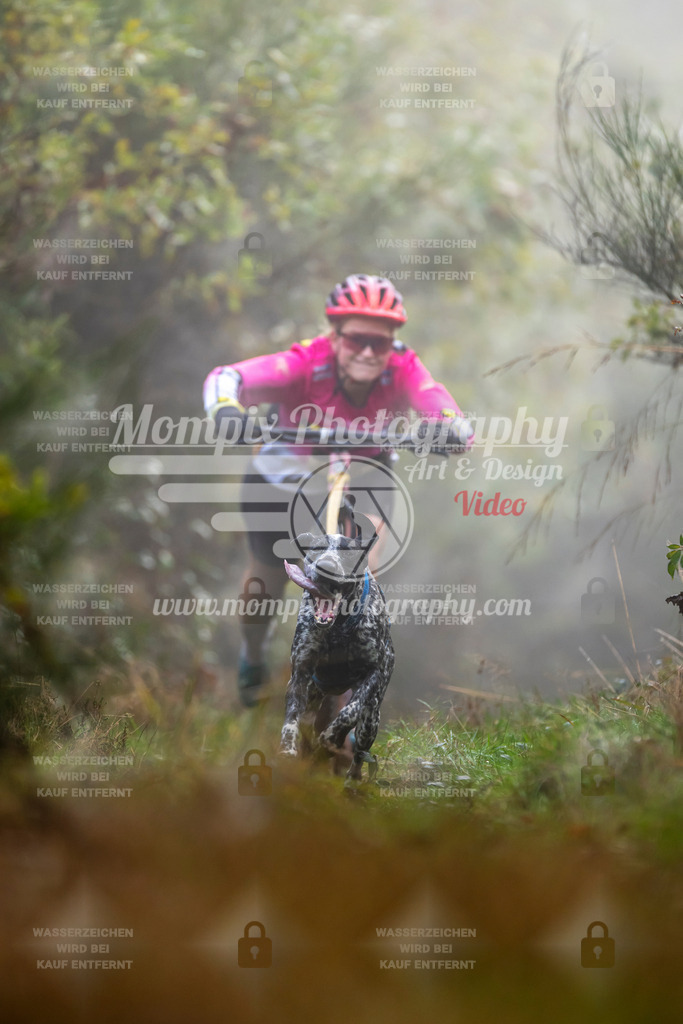 MompixPhotography_20TSB_E4_DS1-14 | PayLife