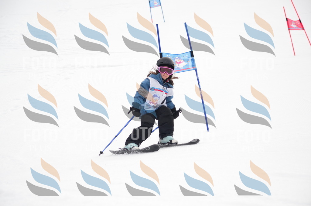 B9977 | holidayphoto