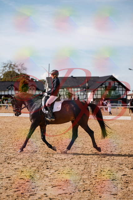 2026_10_03_Siefer-Hof_133502_Z63_94003624 | Professionelle Reitsport-, Turnier- und Eventfotografie von Robert Broda. Galerien mit ausgewählten und bearbeiteten Bildern direkt online ansehen und bestellen.