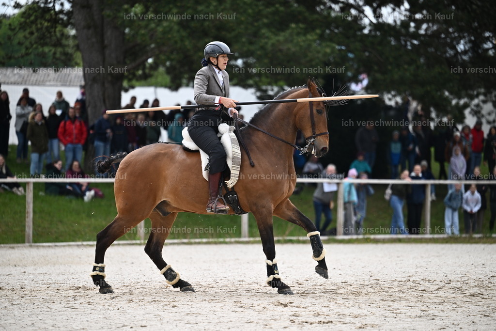 PI26_SP_Sara_Landvogt_226_4416.JPG | working equitationturnier fotograf videograf stoibphotography marixx film working equitation deutschland reitsport turnierfotografie eventfotografie equestrian events