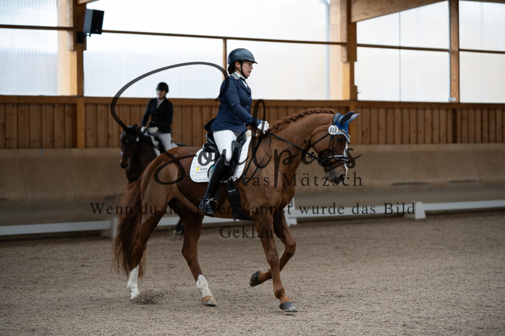 A7V02315 | Pferdefotograf