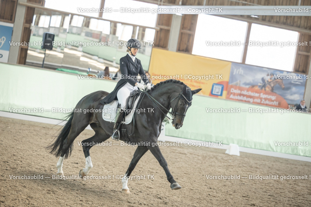 _D5A1601 | Emotionale Pferde- & People-Fotografie rund um Heidelberg, Leimen & Umgebung. Natürliche Fotos von Pferd, Mensch & Familie. Jetzt Termin sichern!