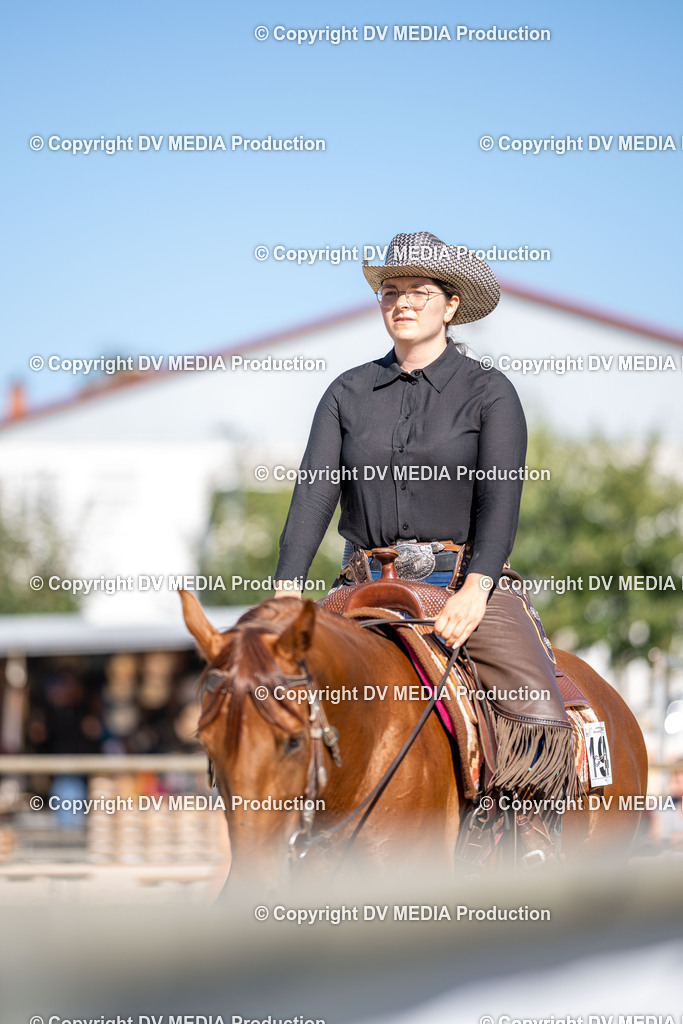 LM Heiligenwald Tag 1-2016 | dv-media-shop - Realisiert mit Pictrs.com