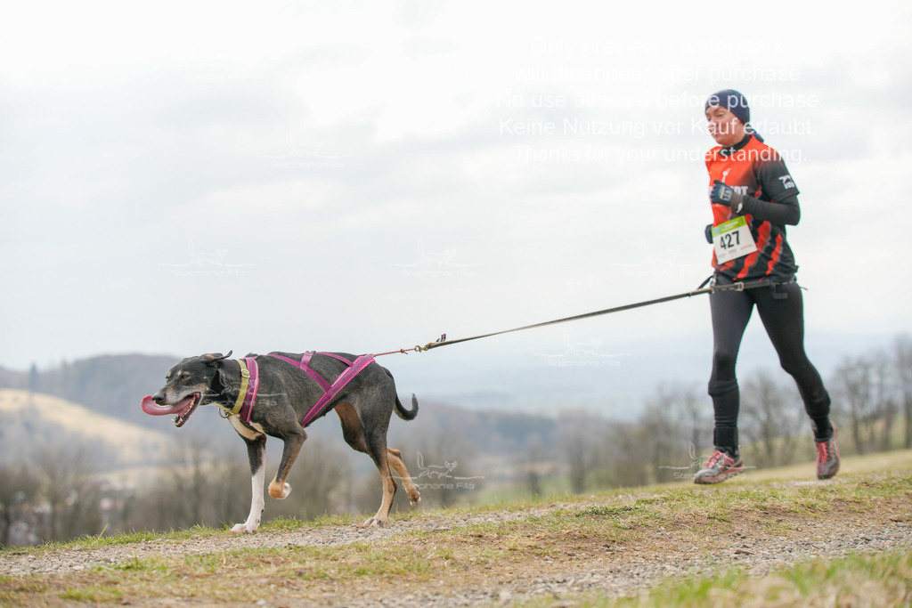 CaniXRunSA-169 | stephaniefillaphotographie - Realisiert mit Pictrs.com