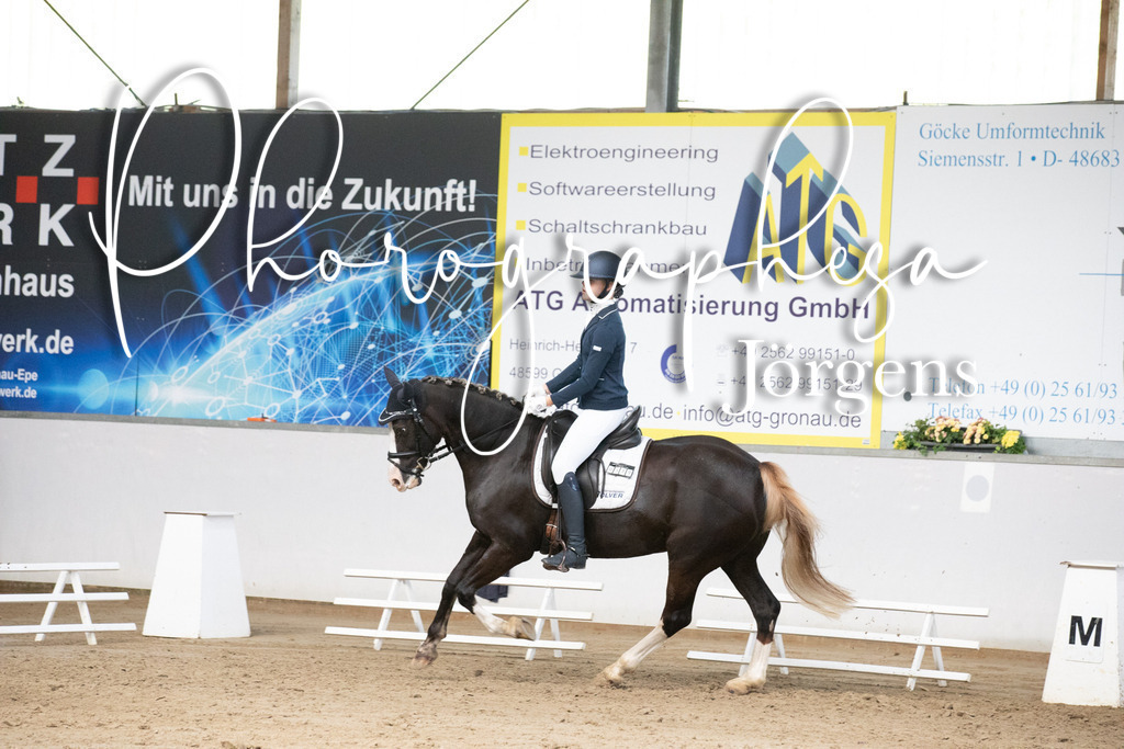 IMG_6004 | photographesa-joergens - Realisiert mit Pictrs.com