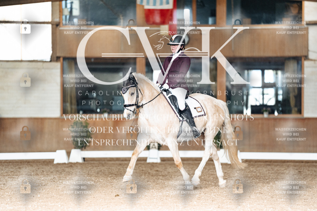 CK902632 | Turnierfotografie Pferdefotografie Trier Rheinland-Pfalz Pferdesport Reitsport Tierfotografie Sportfotografie Pferdevideo Pferdevideografie Equestrianvideography equestrianphotography  - Realisiert mit Pictrs.com