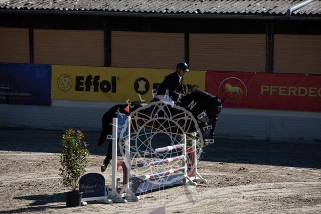 2B4A0274 | pixelfaenger - Realisiert mit Pictrs.com