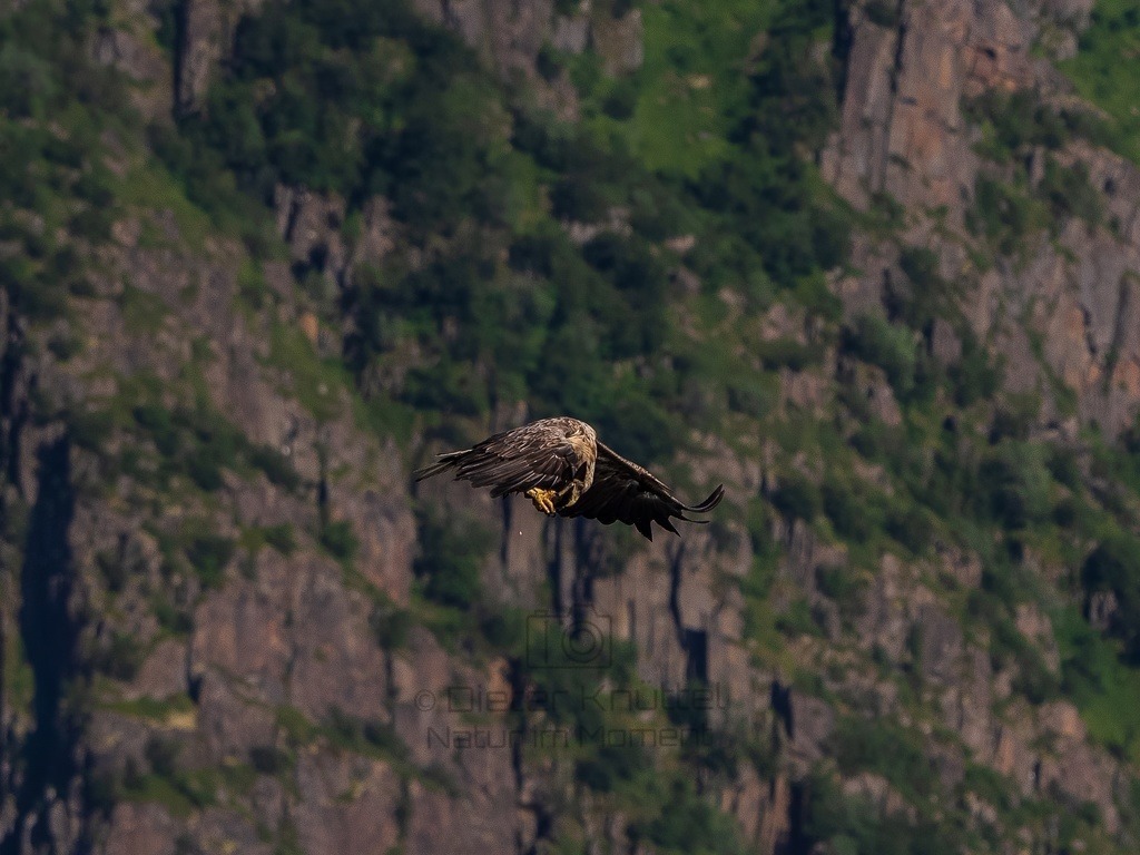 P1001687-LR-topaz-enhance | Natur im Moment - Realisiert mit Pictrs.com