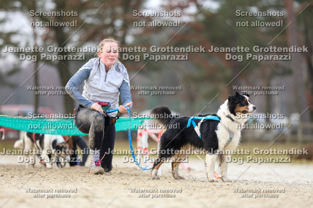 Dog Paparazzi - Strongdog North Mrz26-4172 | Dog Paparazzi Jeanette Grottendiek Fotografie & Videografie - Realisiert mit Pictrs.com