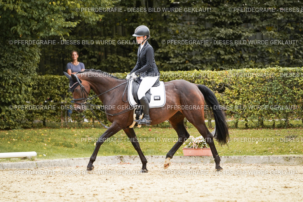 DSC09950 | Pferdegrafie