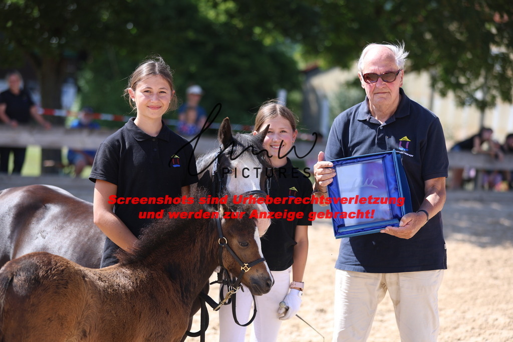 Fohlenschau_Schwäbisch_Hall_IMPRESSIONEN_23 | lmwpictures - Realisiert mit Pictrs.com