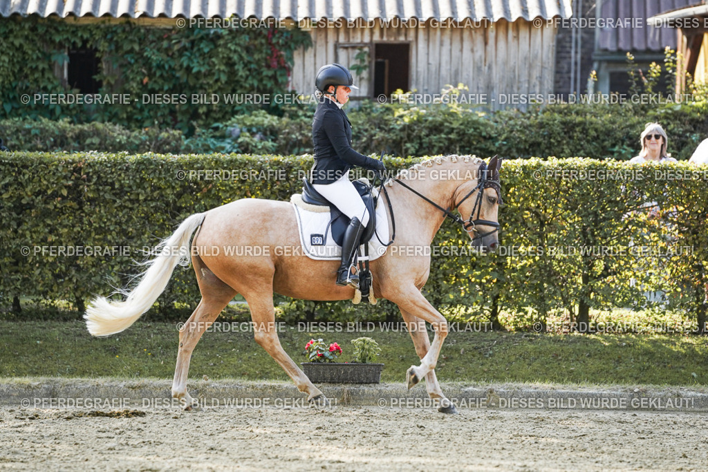 DSC05894 | Pferdegrafie