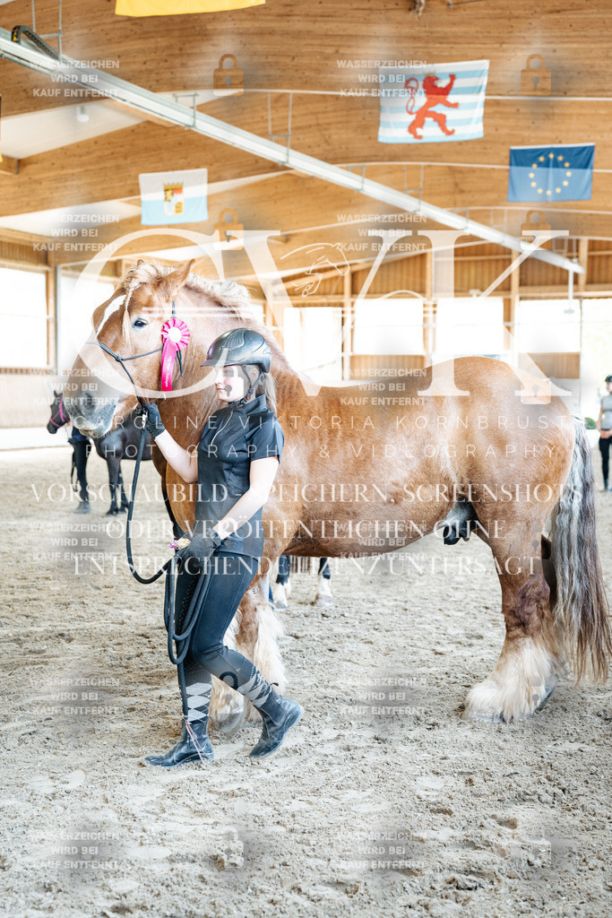CK703228 | Turnierfotografie Pferdefotografie Trier Rheinland-Pfalz Pferdesport Reitsport Tierfotografie Sportfotografie Pferdevideo Pferdevideografie Equestrianvideography equestrianphotography  - Realized with Pictrs.com