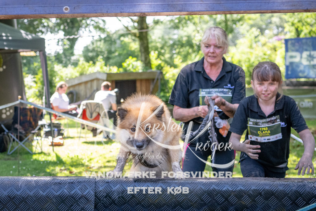 1427_ZZ94223 | kk-dogfotos