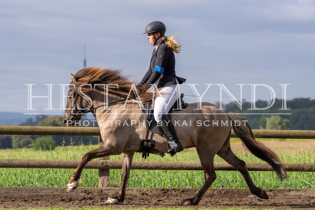 KAI03412 | Ihr sucht einen Fotografen für eure nächste OSI? Ich begleite auch euer Turnier für Islandpferde fotografisch.  - Realisiert mit Pictrs.com