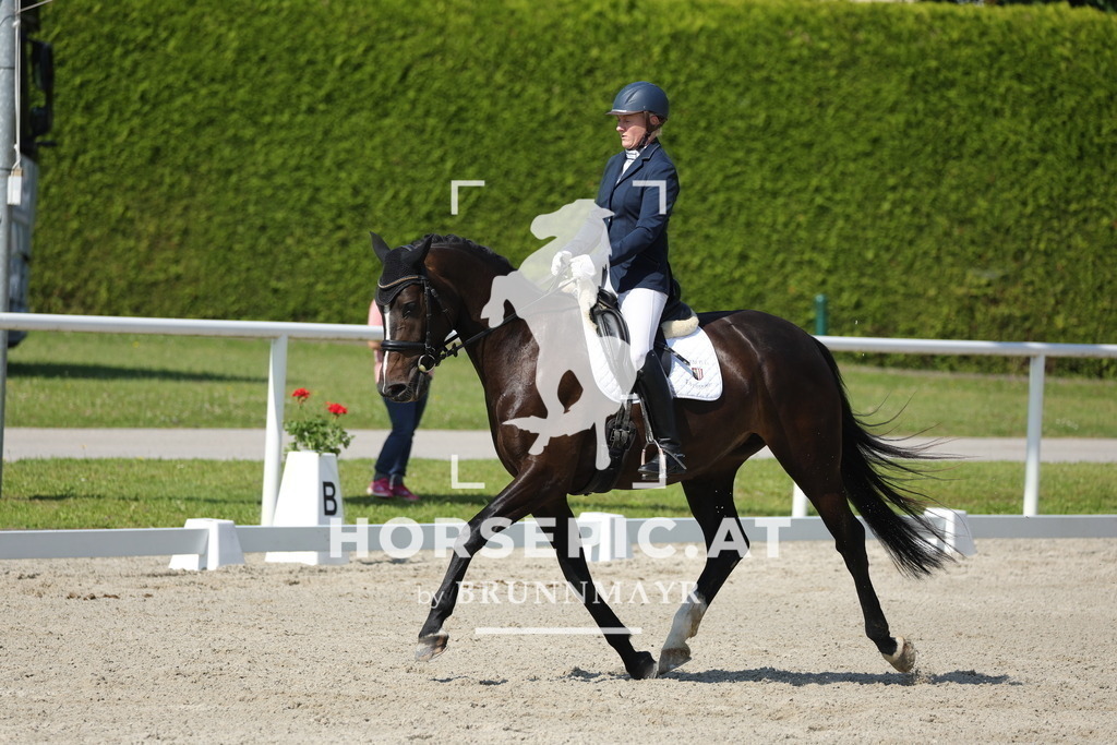 0P6A0405 | Willkommen bei Brunnmayr - Design & Fotografie – Ihrem Spezialisten für Reitturniere und Pferdeveranstaltungen in Oberösterreich, Salzburg und Bayern! Seit über 17 Jahren sind wir leidenschaftlich dabei.