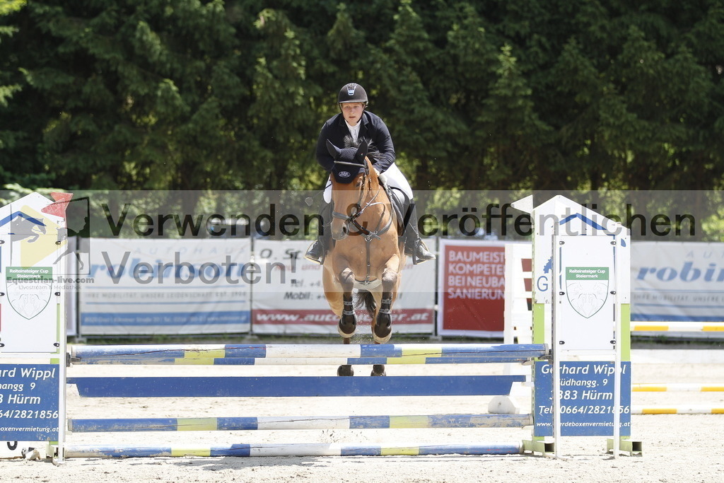 _MG_2006 | equestrian-live-com