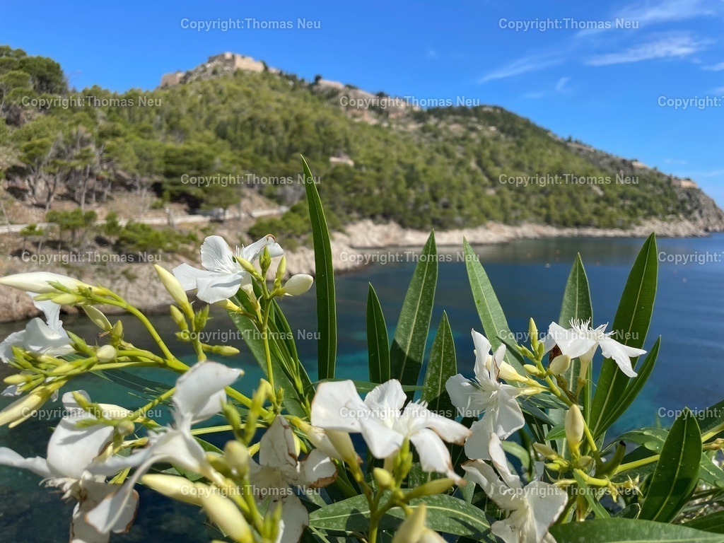 IMG_3770 | Hochwertige Fotografien aus Bensheim, der hessischen Bergstraße und dem Odenwald. Stadtansichten, Landschaften und historische Motive von Fotograf Thomas Neu- als Datei und Print erhältlich