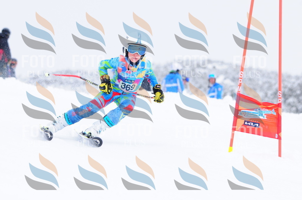 C3949 | holidayphoto