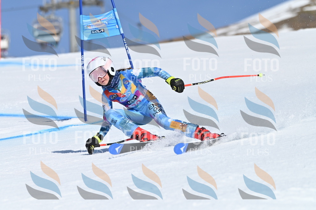 BGV_8907 | holidayphoto