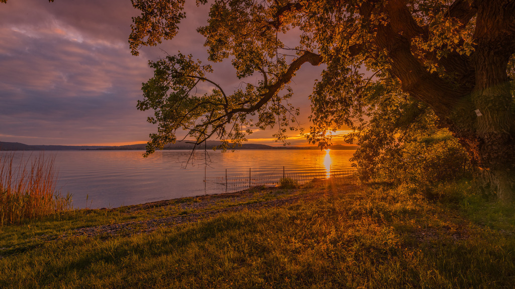 Sonnenuntergang am Bodensee | <div id="allefotografen-seal-verified-green"></div><script src="https://www.allefotografen.de/956728/seal-verified-green/seal.js" async="async"></script> - Realisiert mit Pictrs.com