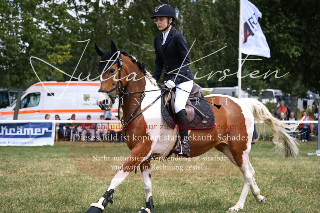DSC_9341 | Pferde- und Turnierfotografie in Westsachsen. Pferdeportraits, Auftragszeichnungen und intuitive Kunst.