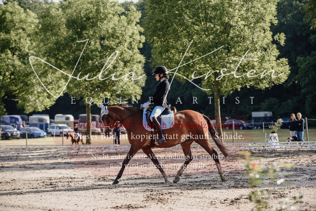 DSC_7820 | Pferde- und Turnierfotografie in Westsachsen. Pferdeportraits, Auftragszeichnungen und intuitive Kunst.