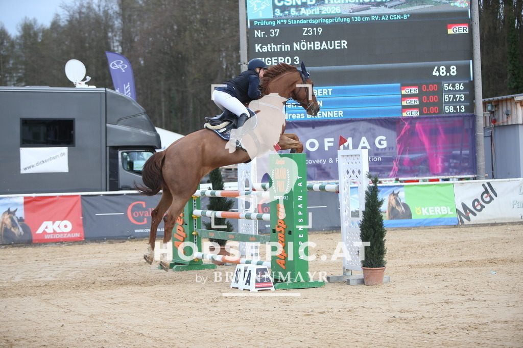 AS8V8475 | Willkommen bei Brunnmayr - Design & Fotografie – Ihrem Spezialisten für Reitturniere und Pferdeveranstaltungen in Oberösterreich, Salzburg und Bayern! Seit über 17 Jahren sind wir leidenschaftlich dabei.