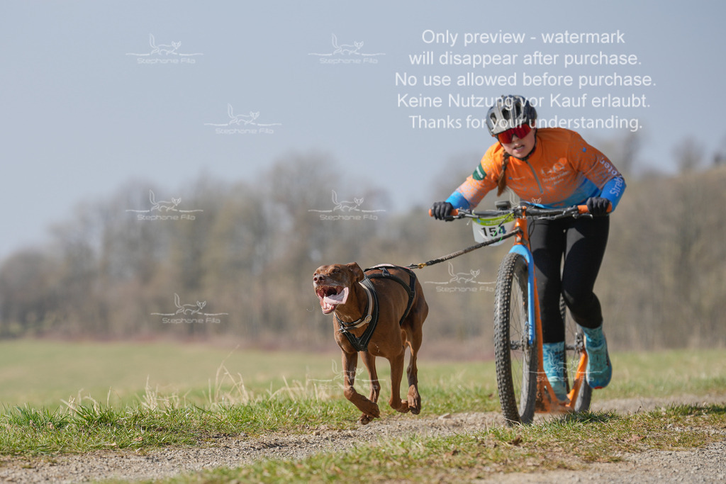 Scooter_Lang-88 | stephaniefillaphotographie - Realisiert mit Pictrs.com