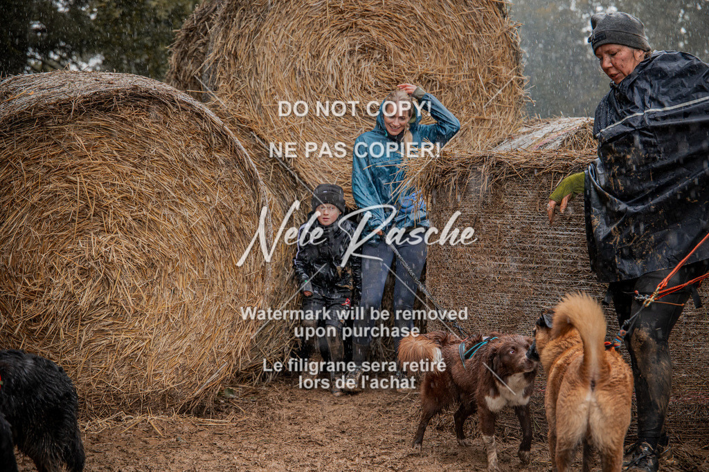 nelerasche_Hunsrück_So12-13_156 | nelerasche
