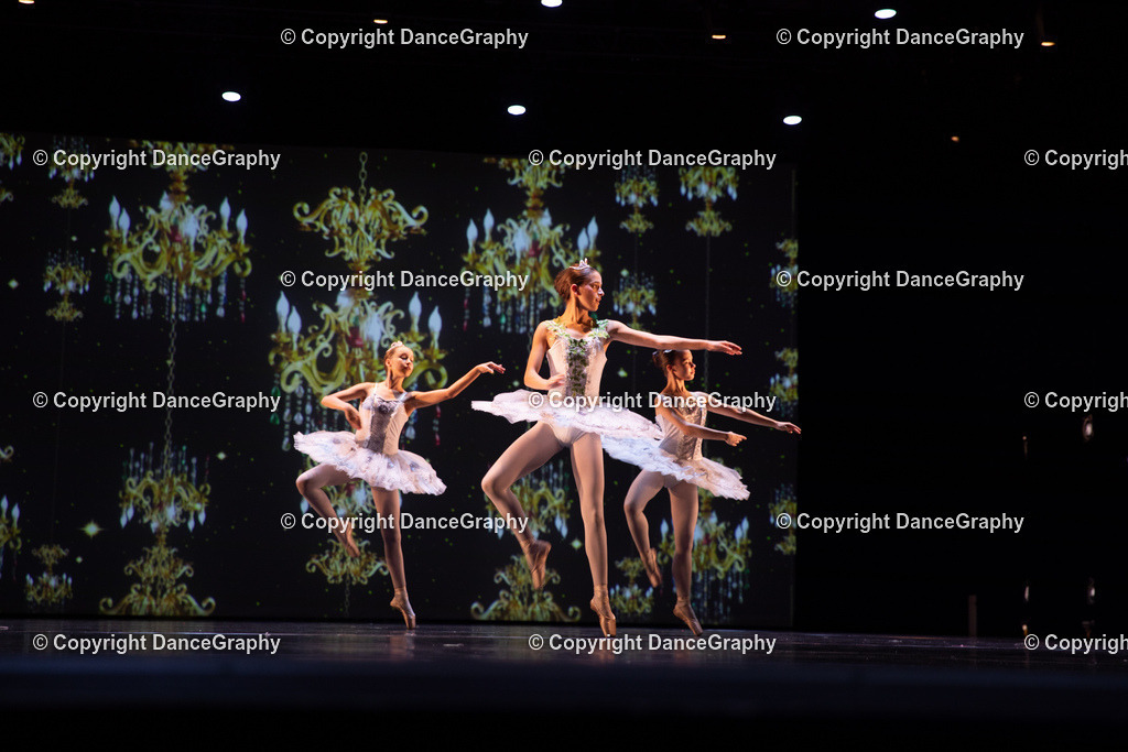 GPHY5835 | DanceGraphy - Realisiert mit Pictrs.com