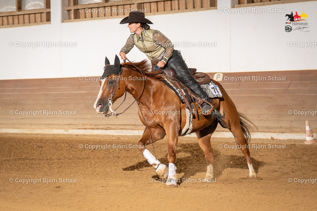 LMS06572 | BS-foto