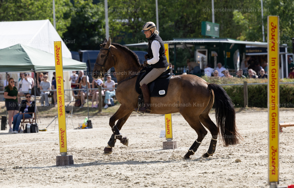 WS_SPEED_60_KerstinBernhardt-3 | working equitationturnier fotograf videograf stoibphotography marixx film working equitation deutschland reitsport turnierfotografie eventfotografie equestrian events