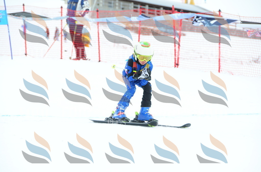 DSC_1396 | holidayphoto