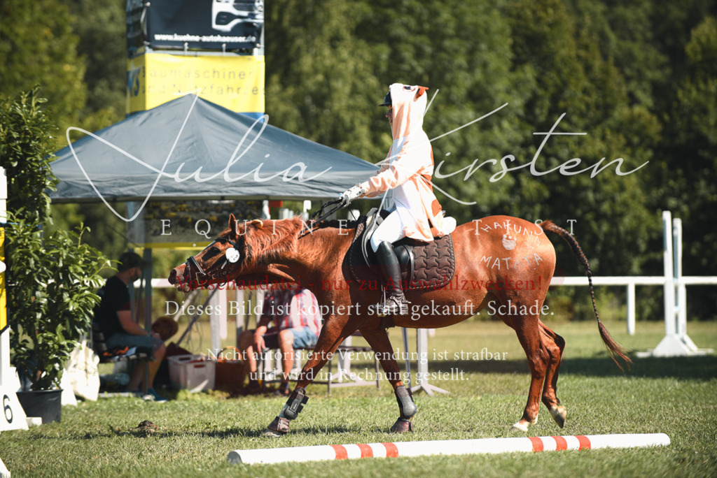 DSC_7390 | Pferde- und Turnierfotografie in Westsachsen. Pferdeportraits, Auftragszeichnungen und intuitive Kunst.