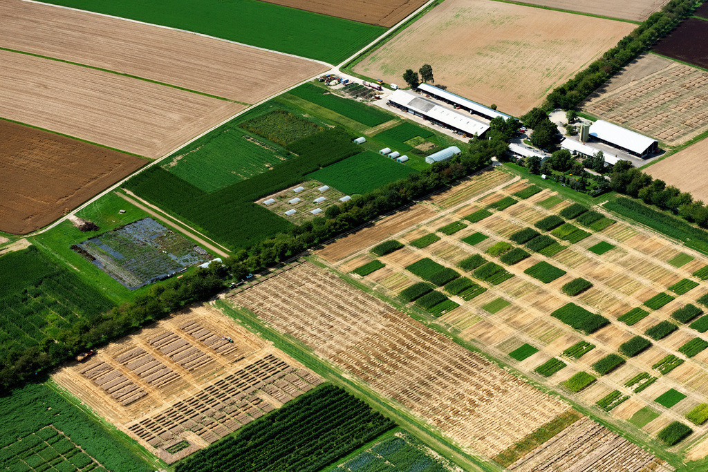 dr__0071774.jpg | STUTTGART 12.08.2021 Strukturen auf landwirtschaftlichen Versuchsfeldern und Testreihen der Versuchsstation Agrarwissenschaften der Universität Hohenheim in Stuttgart im Bundesland Baden-Württemberg, Deutschland. // Structures on agricultural test fields and test series der Versuchsstation Agrarwissenschaften of Universitaet Hohenheim in Stuttgart in the state Baden-Wuerttemberg, Germany. Foto: Daniel Reiter