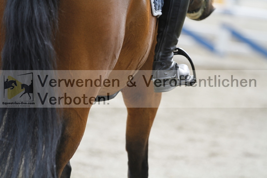 _MG_2982 | equestrian-live-com