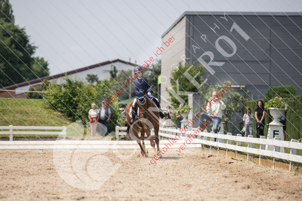 IMG_3948 | Sport-, Event- und Tierfotos in Profiqualität. Einfach auswählen, bestellen und herunterladen. Dein Moment – perfekt festgehalten.