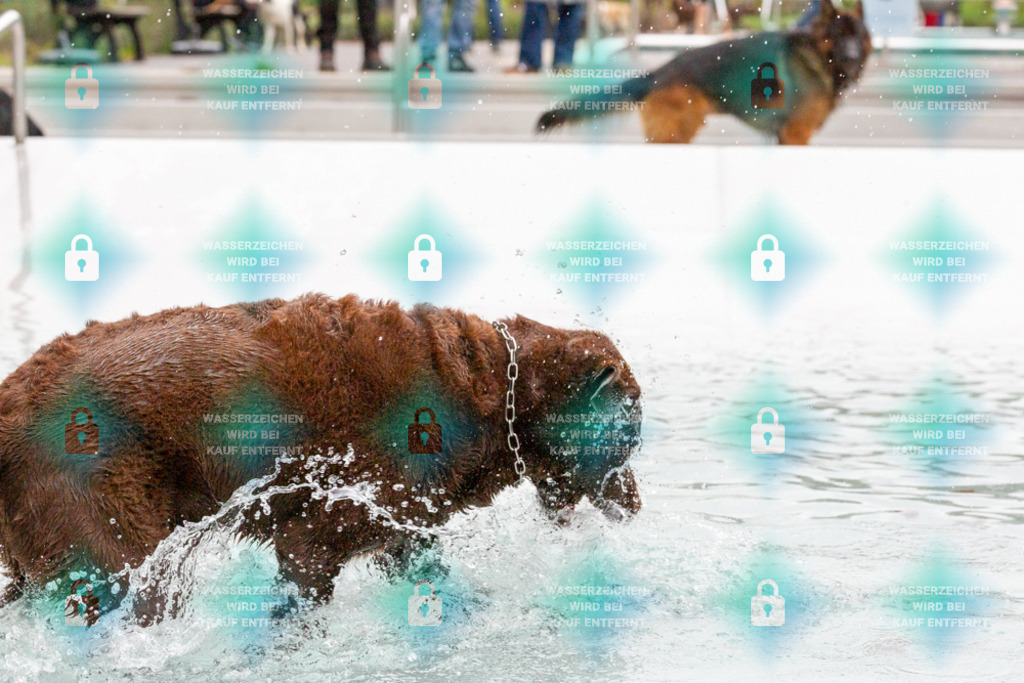 _HP_7419_1000o | HetPix, HetPix Fotodesign, Fotografie, Fotodesign, Webshop, Sportfotografie, Portraitfotografie, Onlineshop, Sportfotografie, Polch, Motorsportfotografie, Eventfotografie