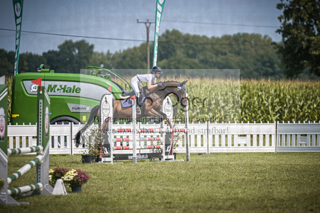 DOS_4669 | Entdecke hochwertige Reitturnierfotos von Foto Oger. Professionell, emotional und authentisch – jetzt Lieblingsmomente im Shop bestellen.Deutschlandweite Turnierfotografie. - Realisiert mit Pictrs.com