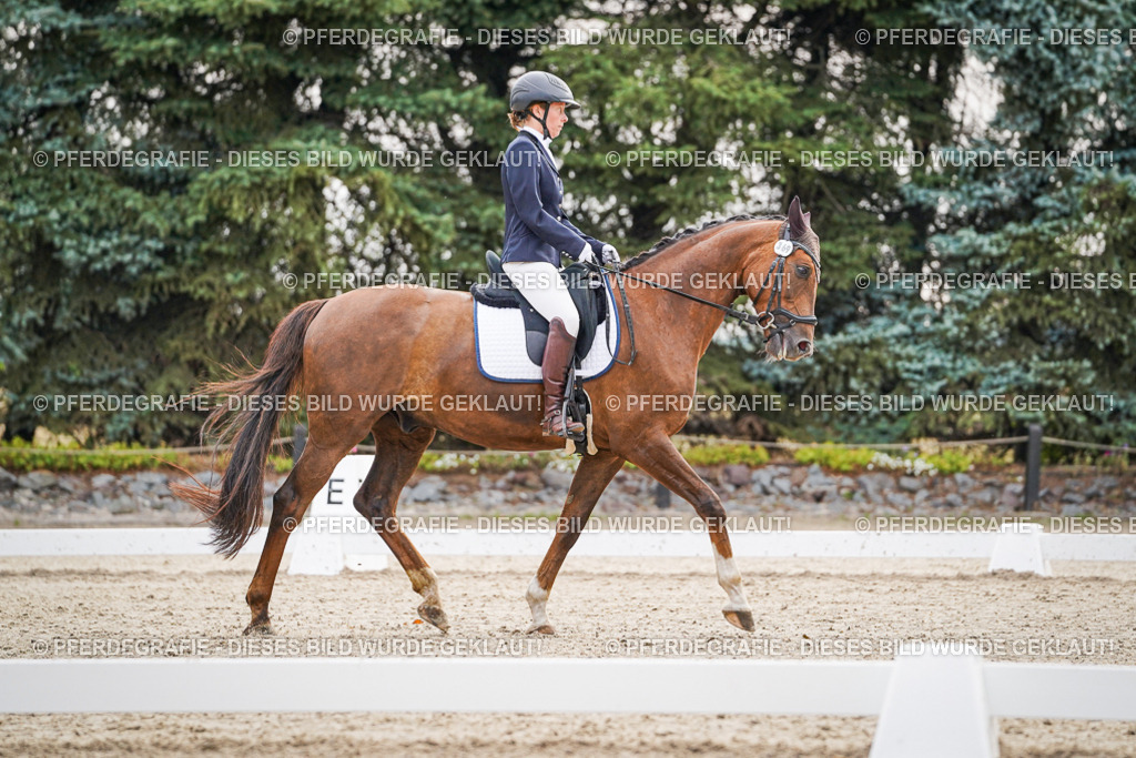 DSC00422 | Pferdegrafie