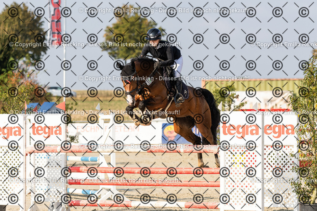 CL5A5179 | Emilia Reinking Fotografie - Realisiert mit Pictrs.com