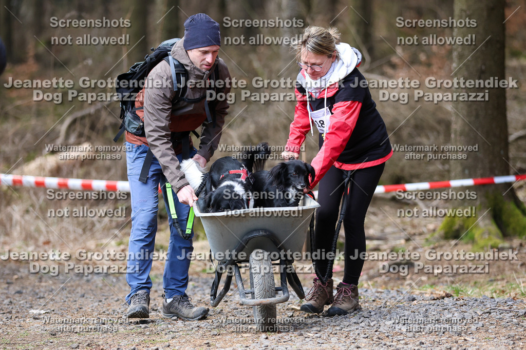 Dog Paparazzi - VCC26-828 | Dog Paparazzi Jeanette Grottendiek Fotografie & Videografie - Realisiert mit Pictrs.com