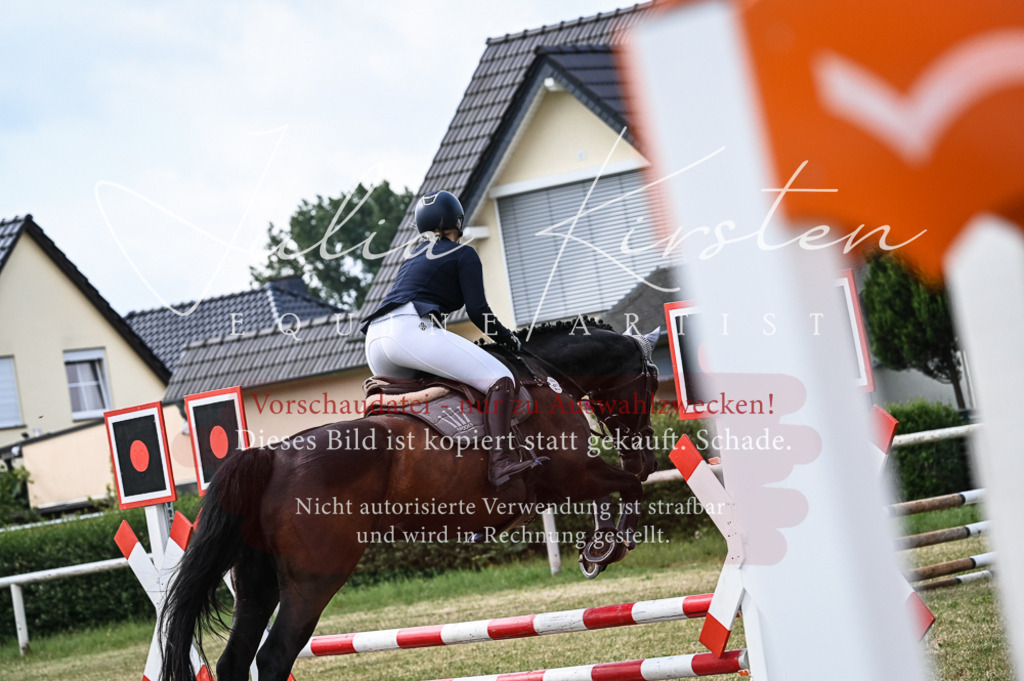 DSC_8124 | Pferde- und Turnierfotografie in Westsachsen. Pferdeportraits, Auftragszeichnungen und intuitive Kunst.