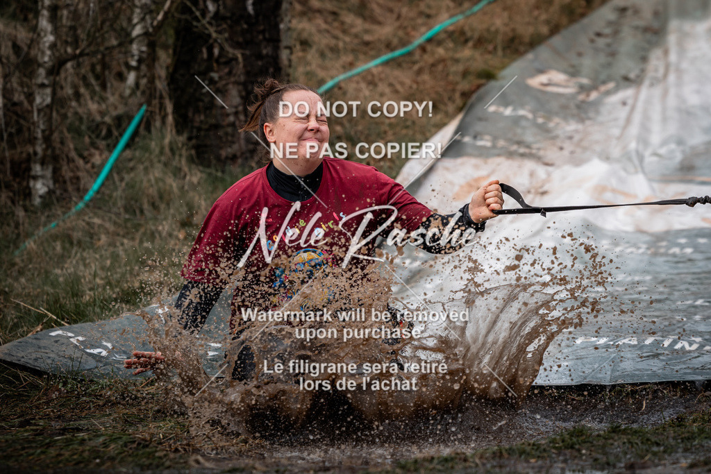 nelerasche_1330-1400_210 | nelerasche
