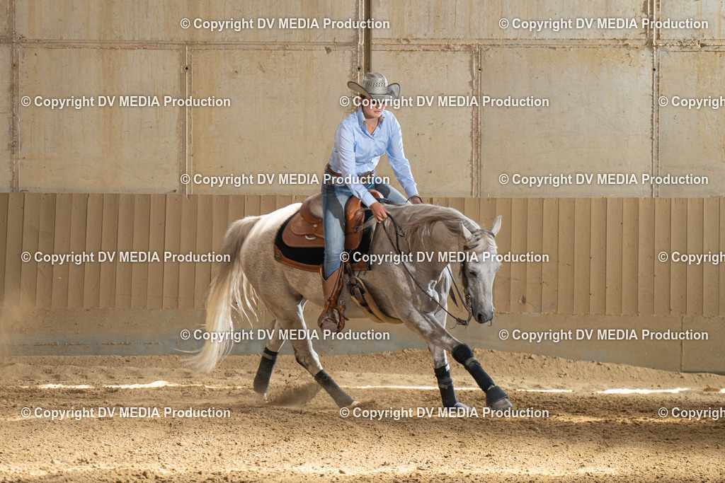 DSC00173 | dv-media-shop - Realisiert mit Pictrs.com