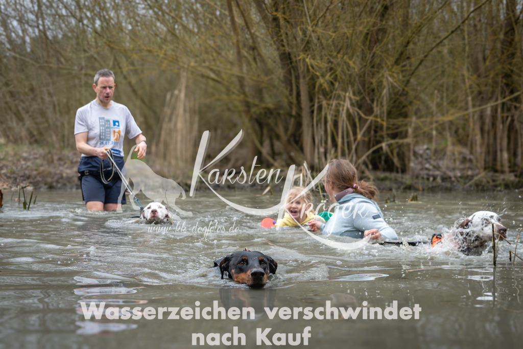 1012_ZZ96851 | kk-dogfotos