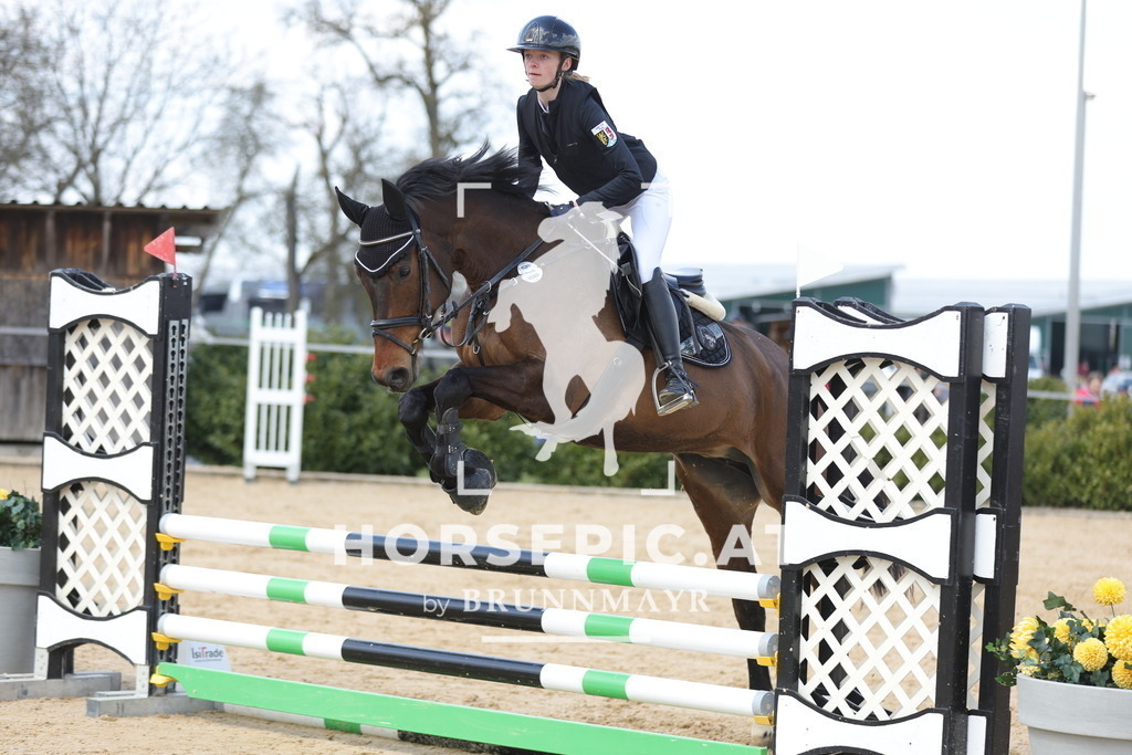 0P6A7479 | Willkommen bei Brunnmayr - Design & Fotografie – Ihrem Spezialisten für Reitturniere und Pferdeveranstaltungen in Oberösterreich, Salzburg und Bayern! Seit über 17 Jahren sind wir leidenschaftlich dabei.