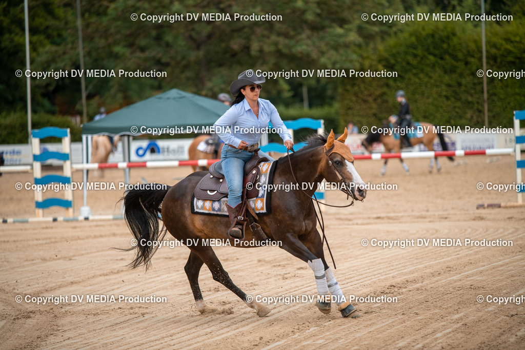 ZS2_8704 | dv-media-shop - Realisiert mit Pictrs.com